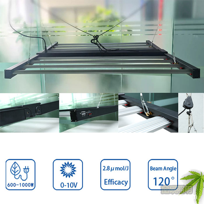 XS-可折叠八爪鱼800W